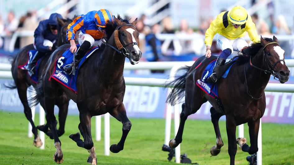 Scandinavia and Rahiebb duel for the Betfred St Leger