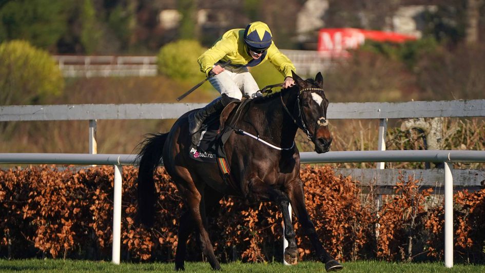 Good Land wins well at Leopardstown