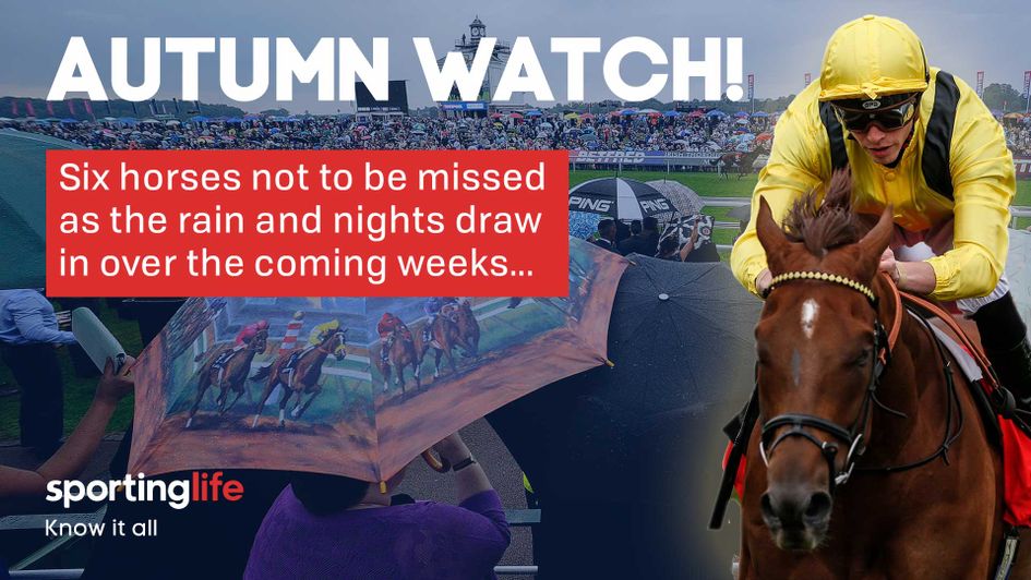 We pick out six horses who could thrive when the ground turns