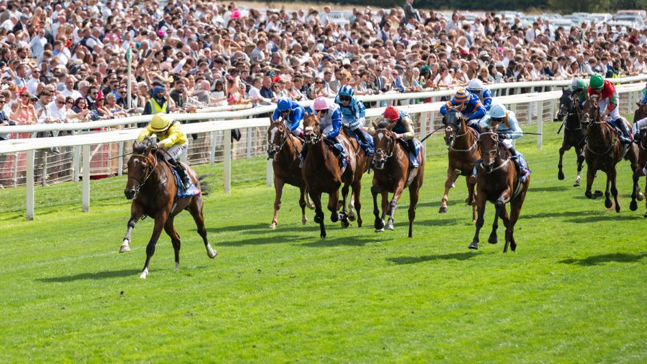 Infraad is in complete control of the Sky Bet Melrose