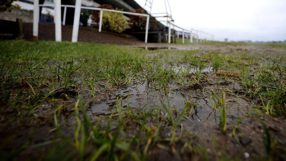 Waterlogged racecourse