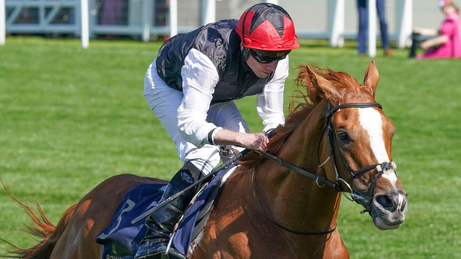 Kyprios - career hailed by Timeform