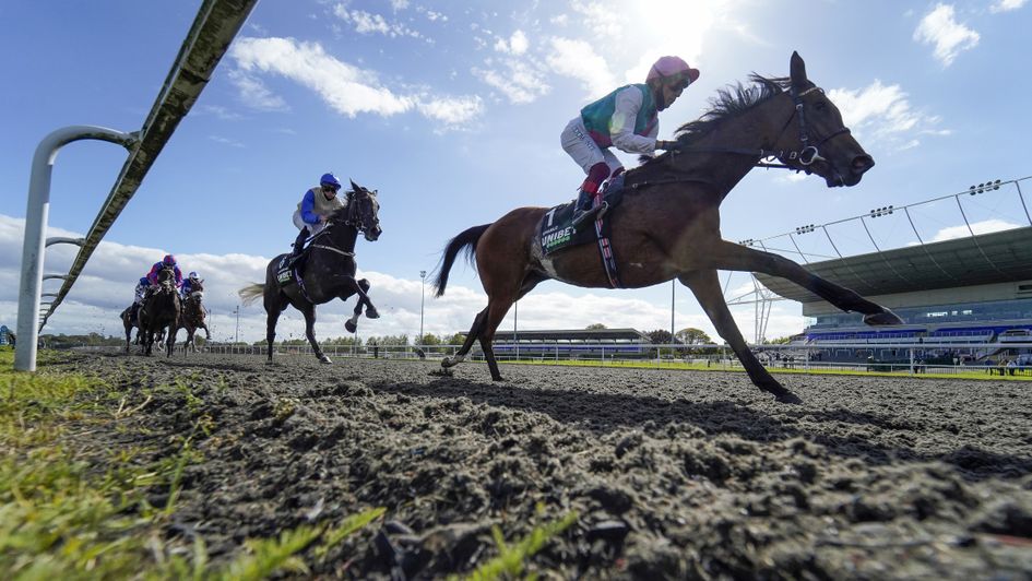 Enable during her September Stakes victory on Saturday