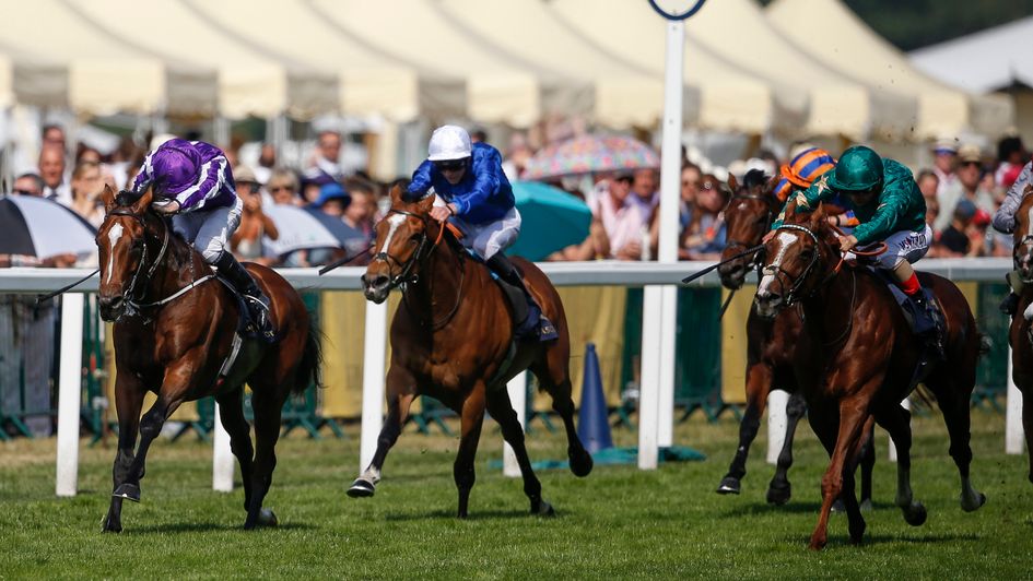 Highland Reel fends off the chasing pack at Ascot
