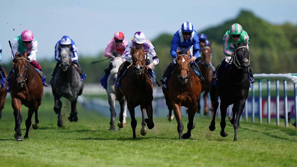 Pogo (right) wins the John Of Gaunt Stakes
