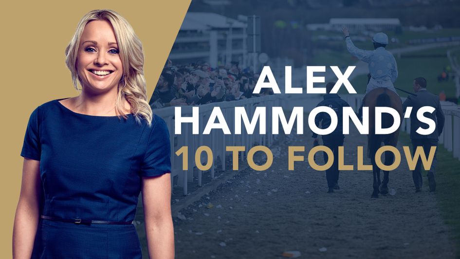 Alex has 10 horses for Cheltenham