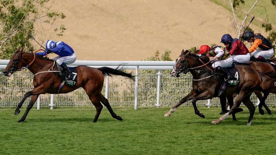 Maydanny wins the Unibet Golden Mile