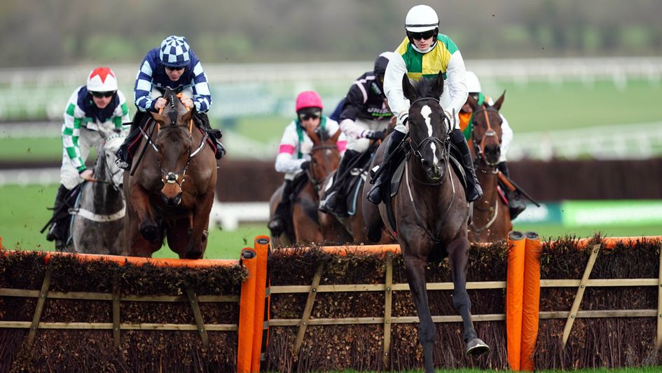 Hillcrest: Won at Cheltenham on New Year's Day