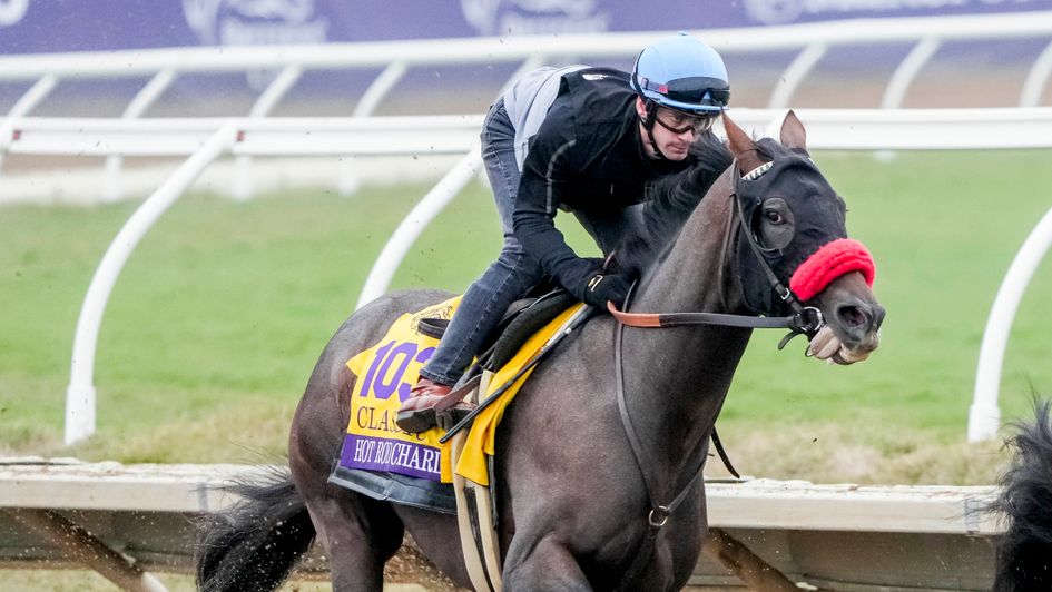 Hot Rod Charlie (image courtesy of Breeders' Cup)