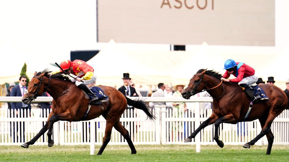 State Of Rest beats Bay Bridge