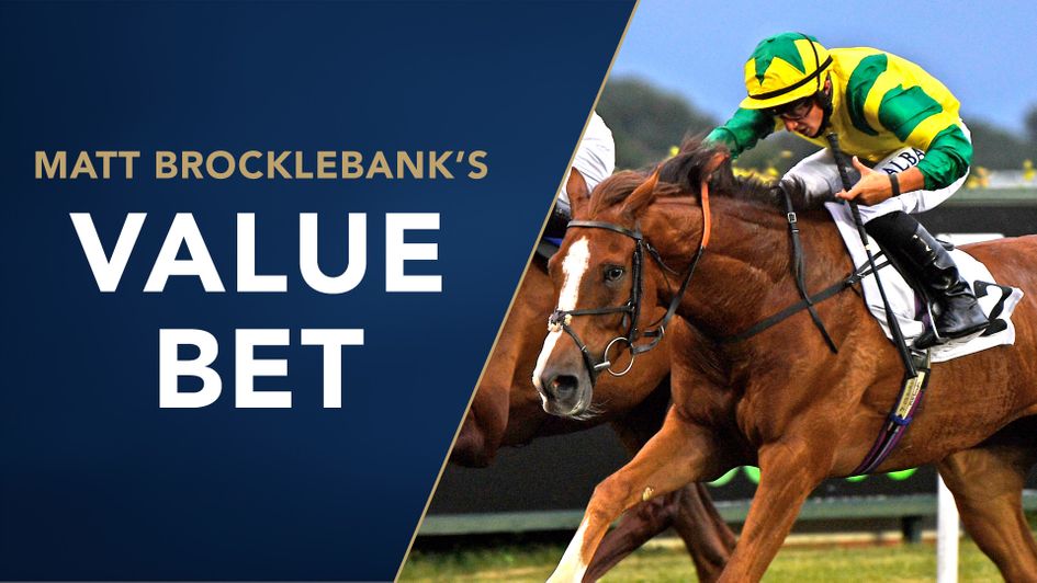 Jersey Wonder looks worth a bet at Cheltenham