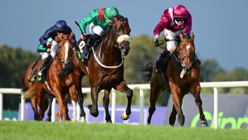 Safe Voyage (right) edges a thriller