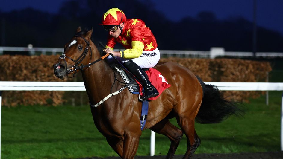 Kingdom Come winning his latest start at Kempton