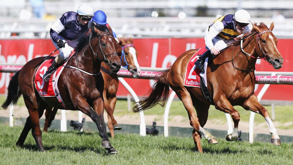 Mark Zahra and Gailo Chop (r) win from Katelyn Maylon and Johannes Vermeer 