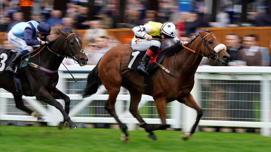 Dakota Gold digs deep to win at Ascot