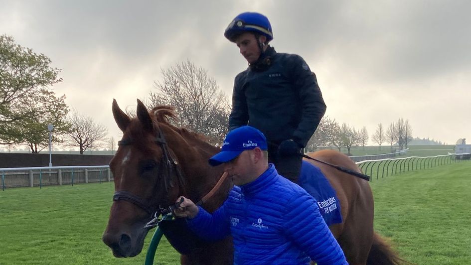 Hurricane Lane after working in Newmarket