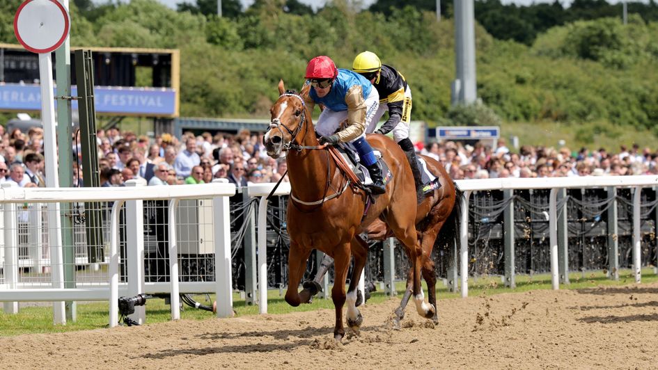 Paborus is back in style in the Chipchase