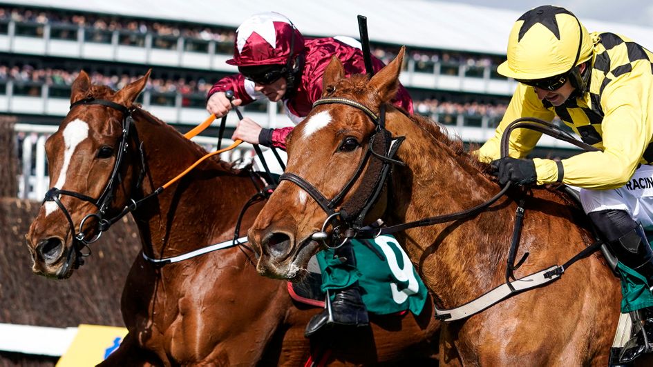 Samcro and Melon duel at Cheltenham