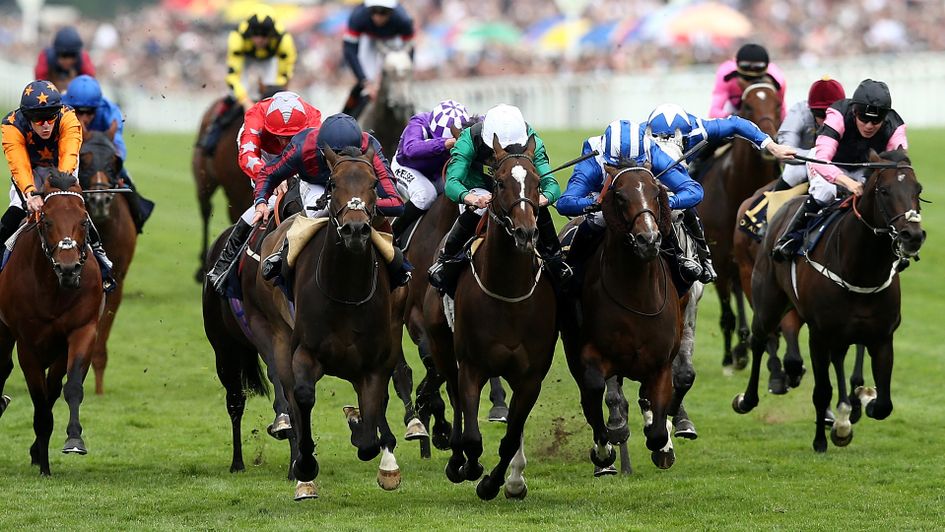 The Tin Man wins a thriller at Ascot