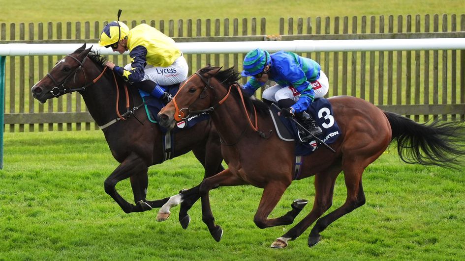 Magic Effort makes a winning debut