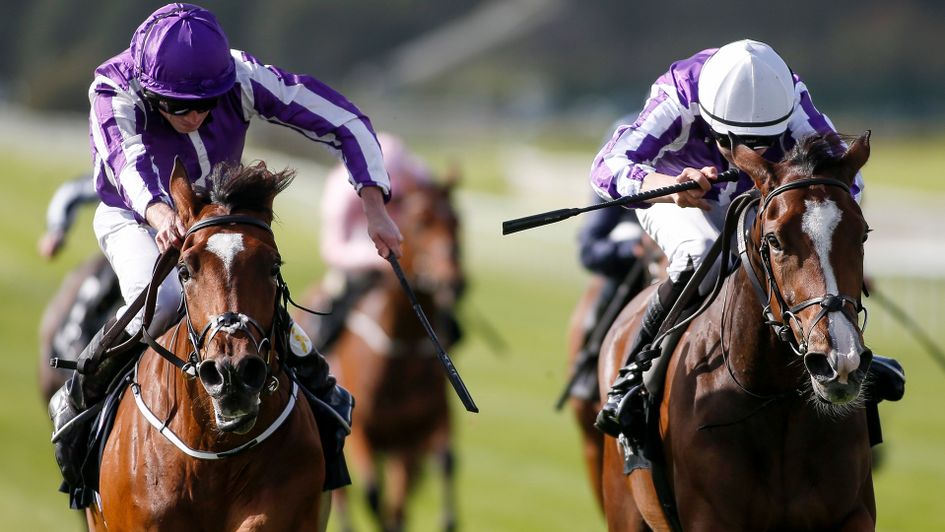 Happily (right) is fancied to oblige