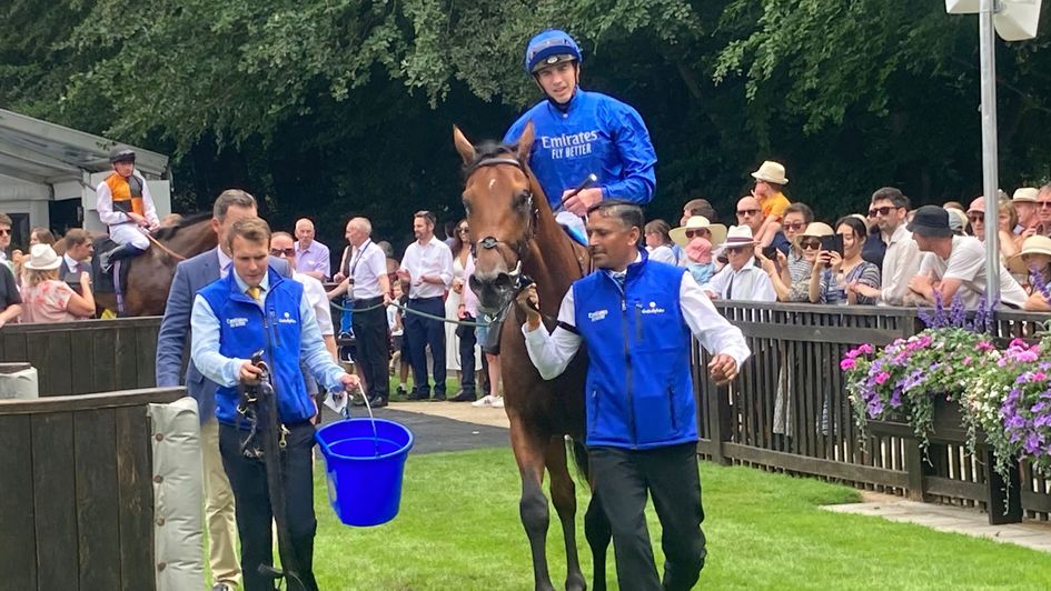 Imperial Emperor returns in triumph at Newmarket