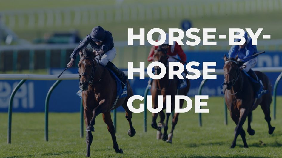 QIPCO 2000 Guineas preview