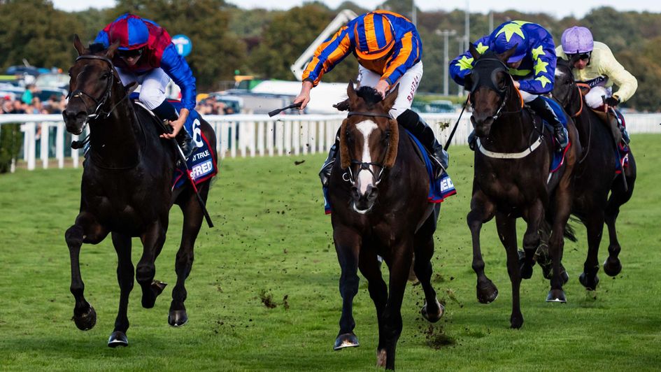 Scandinavia wins the St Leger