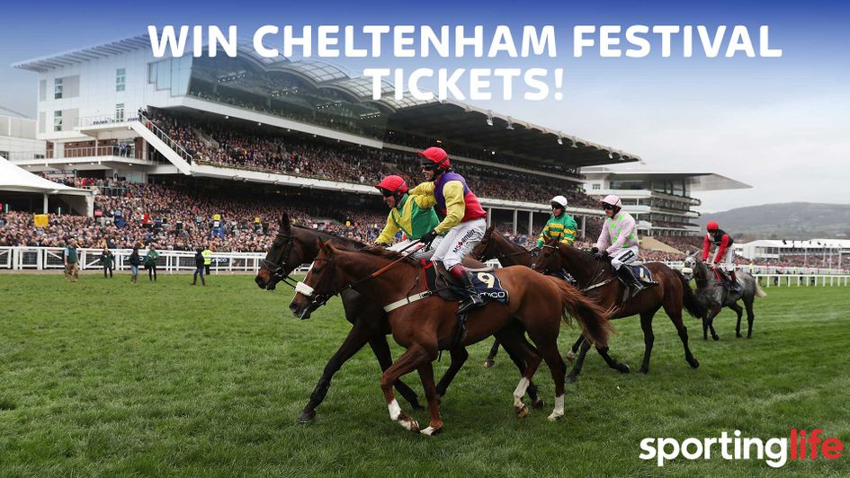 Will you win tickets to the Cheltenham Festival?