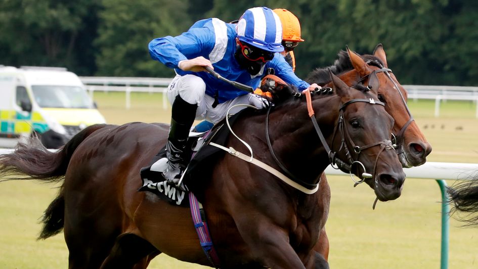 Elarqam has Telecaster behind when second to Lord North at Haydock