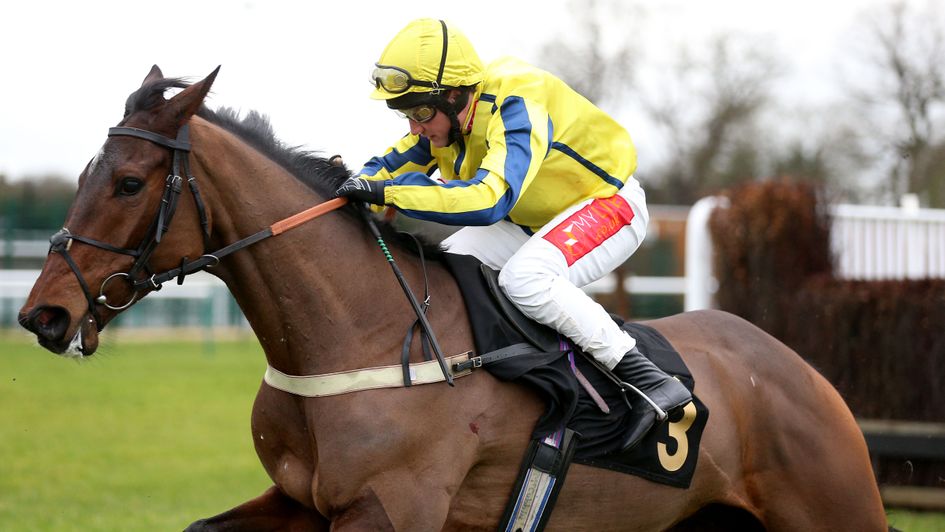 Haddex Des Obeaux wins at Warwick