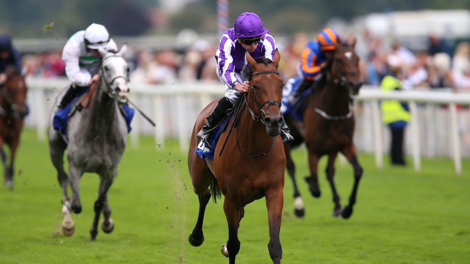 Snowfall is out on her own at York