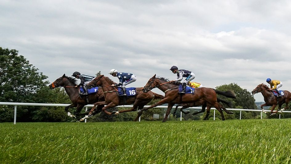 Urban Icon (left) is worth watching this season