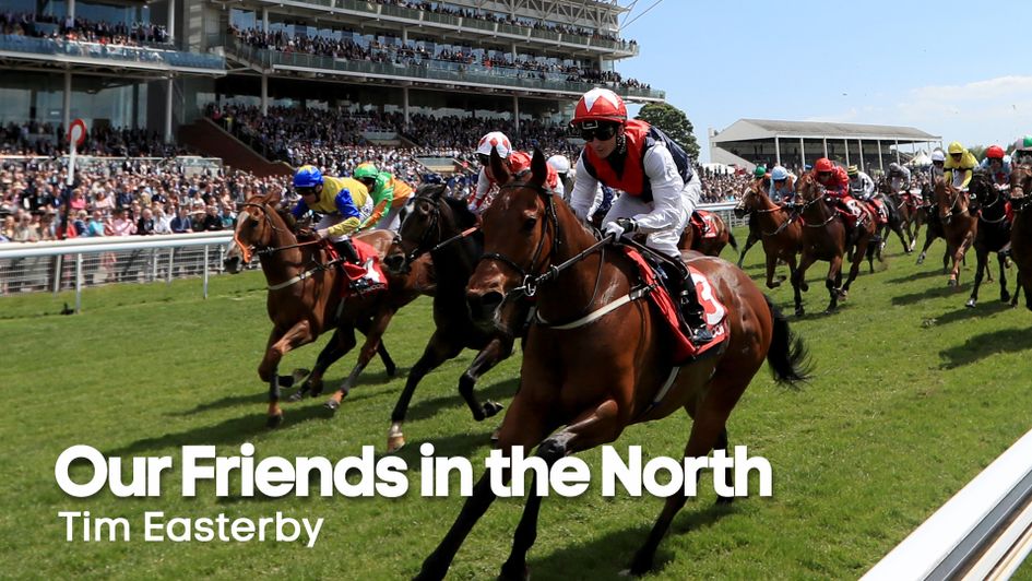 Copper Knight will be back for more this season