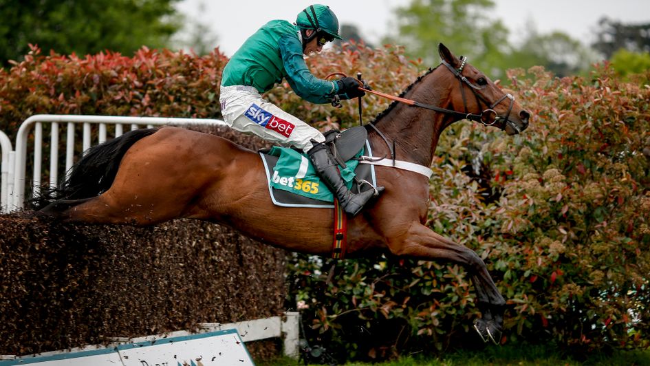 Top Notch jumps his way to victory at Sandown