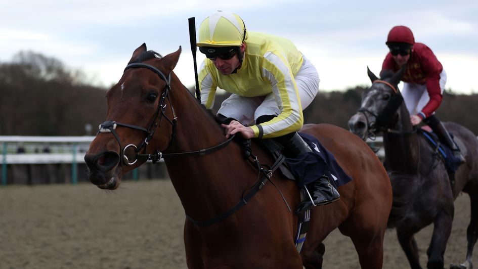 Oh So Grand impresses at Lingfield