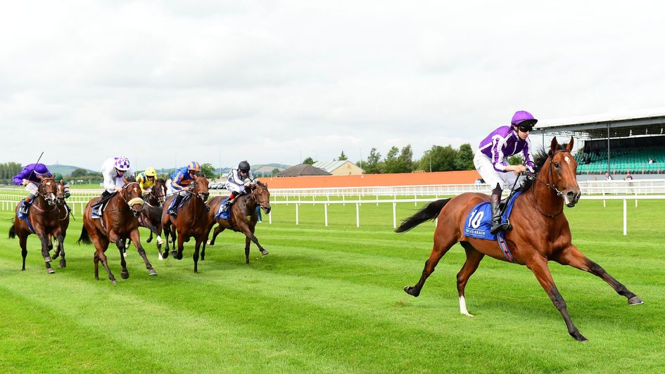 Saxon Warrior bounds clear of his rivals