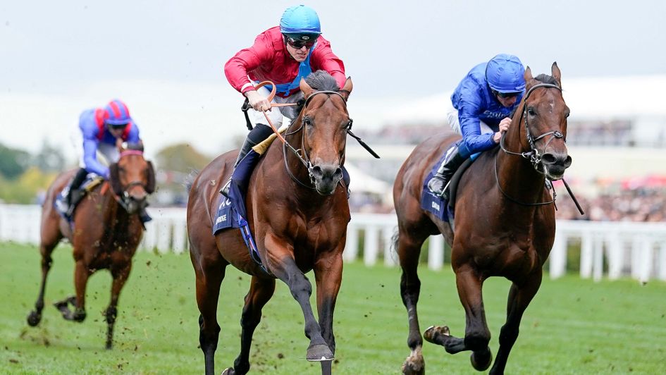 Bay Bridge beats Adayar with Baaeed out of shot at Ascot