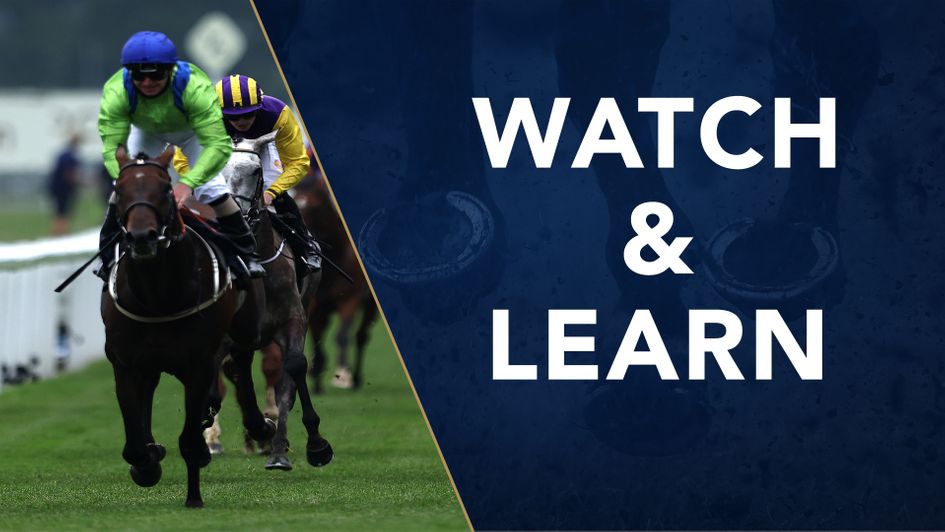 Subjectivist was a very good winner of the Gold Cup