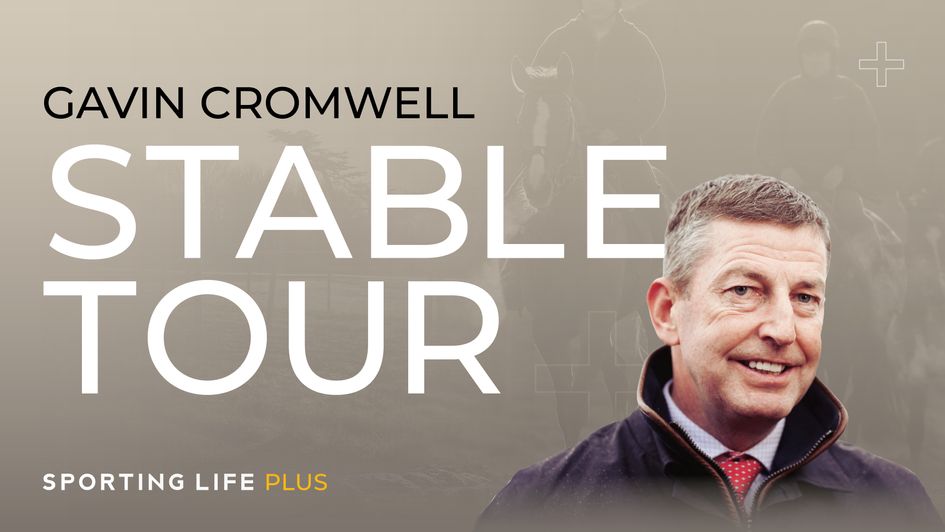 Get the inside word on from the yard