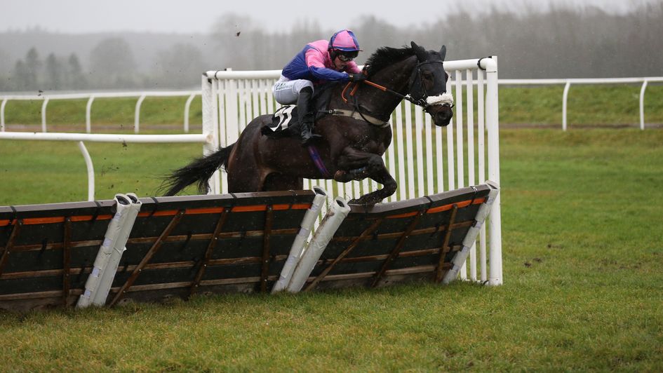 Jupiter Du Gite in splendid isolation at Newbury