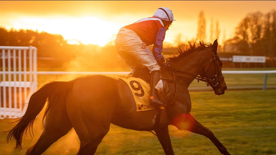 Action from the Betfair Chase card at Haydock