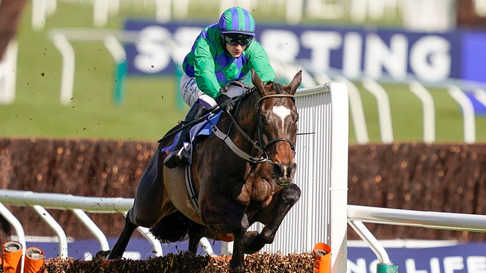 Appreciate It: Can make his mark over fences