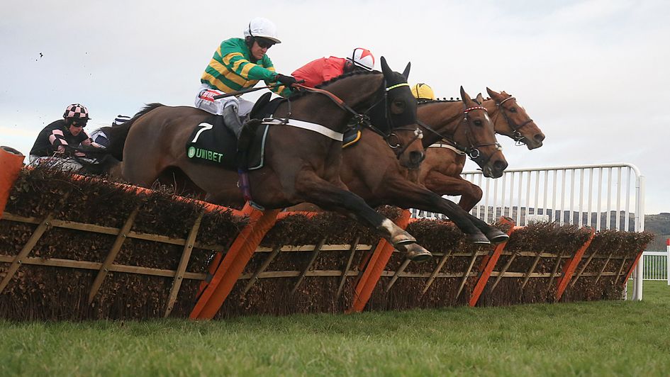 My Tent Or Yours gets up at Cheltenham