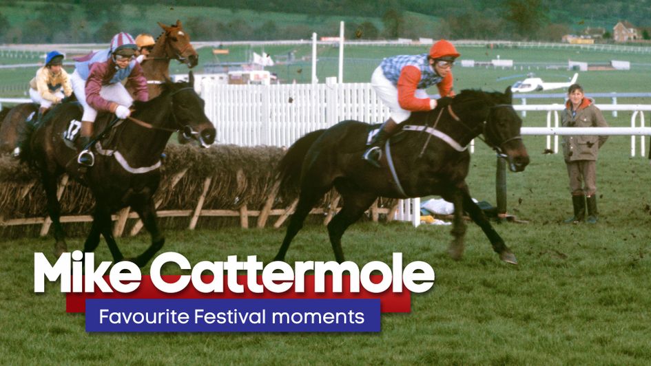 Top commentator Mike Cattermole on the Cheltenham Festival