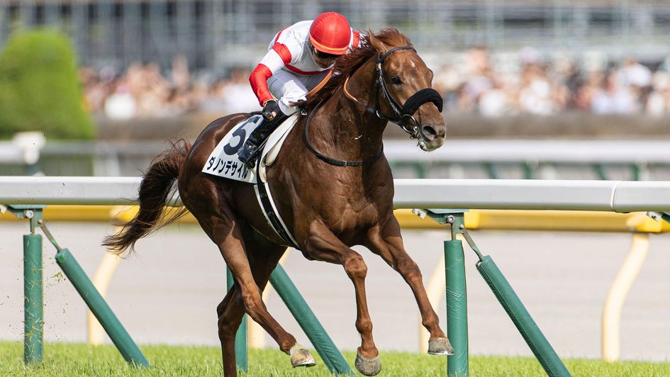 Danon Decile in action