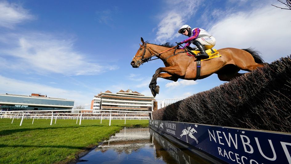 Bravemansgame is a superb jumper of a fence