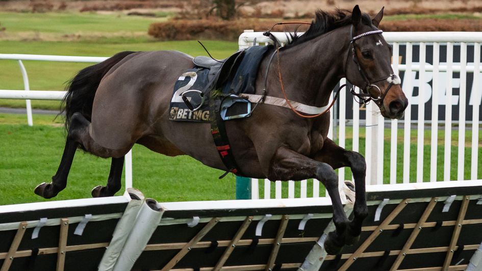 Constitution Hill continues riderless at Newbury