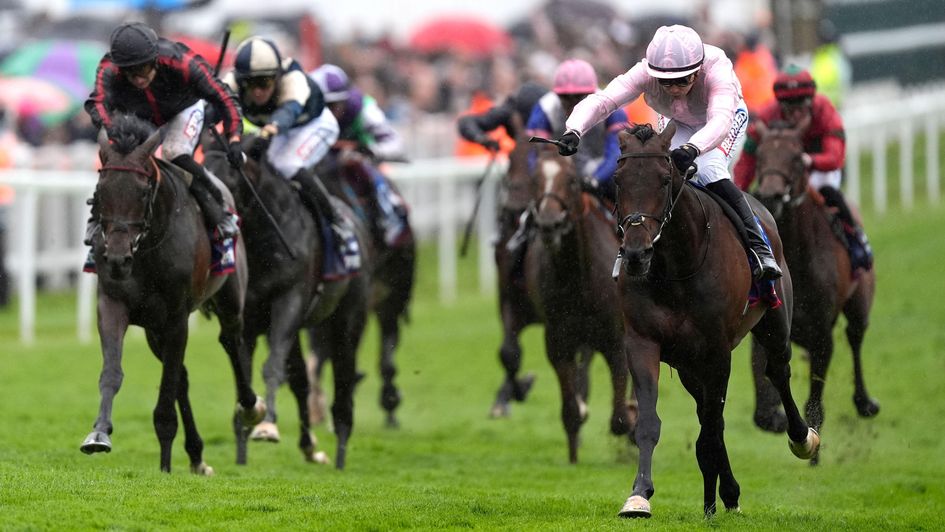 Maltese Cross (left) chases home Christmas Day