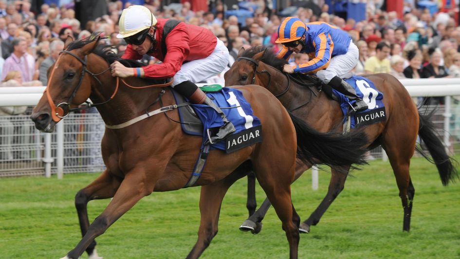 Best Terms wins the Lowther herself